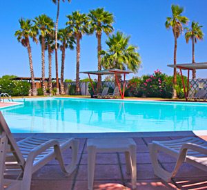 Havasu Springs Resort Heated Swimming Pool