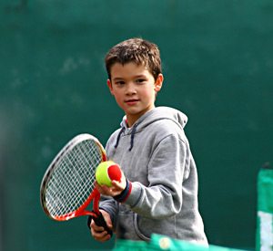 Havasu Springs Resort - Tennis Court