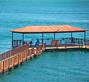 Lake Havasu Fishing Dock - Havasu Springs Resort